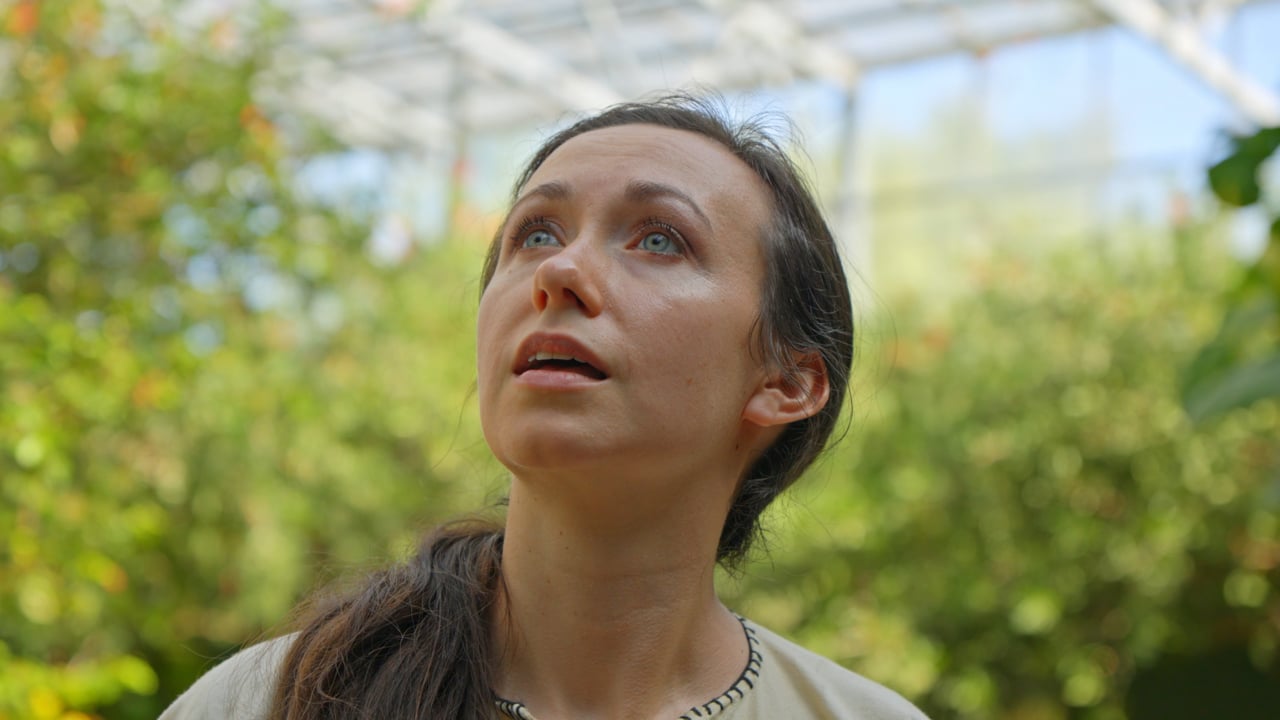 Still from Butterfly Wonderland